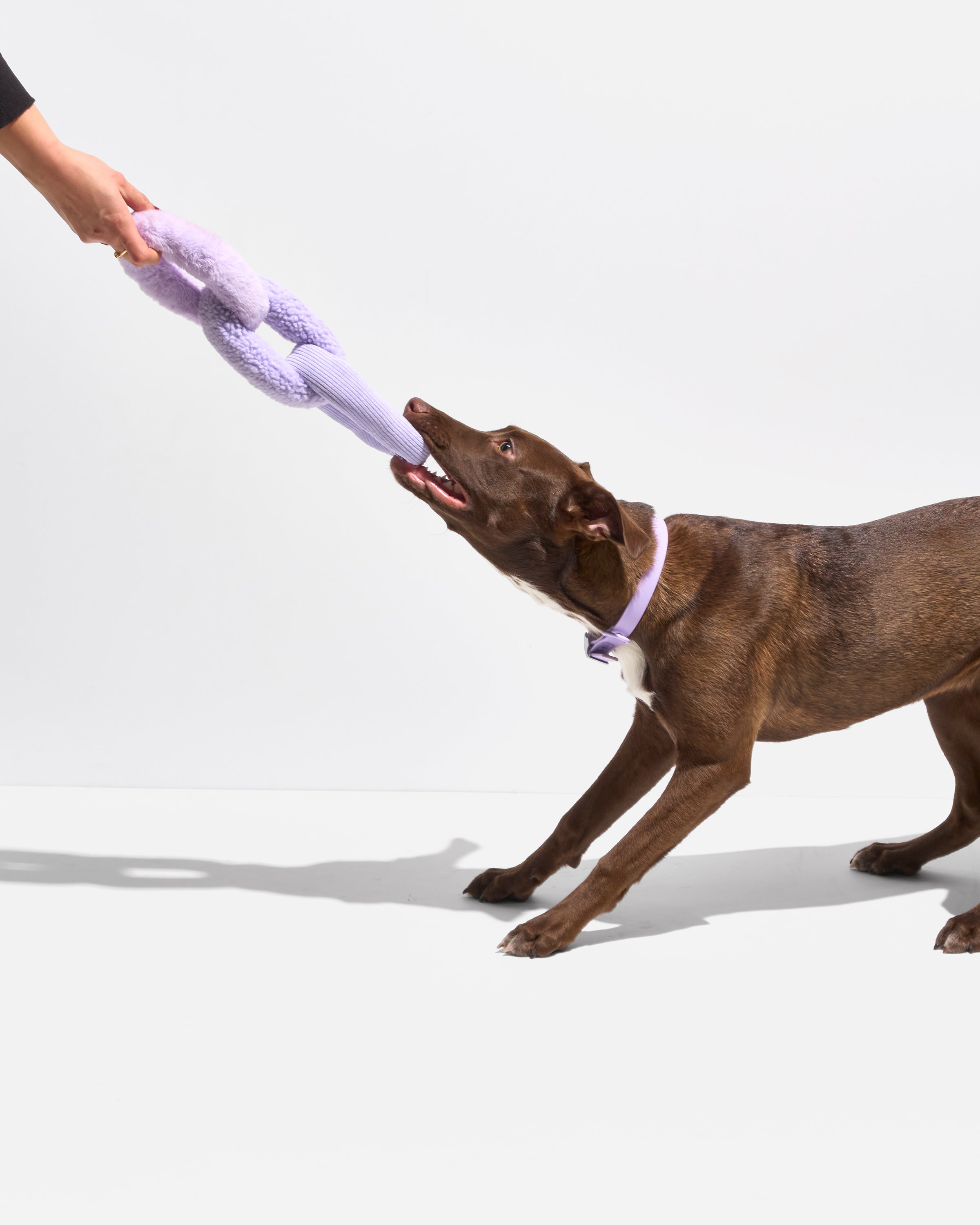 Chew Chain