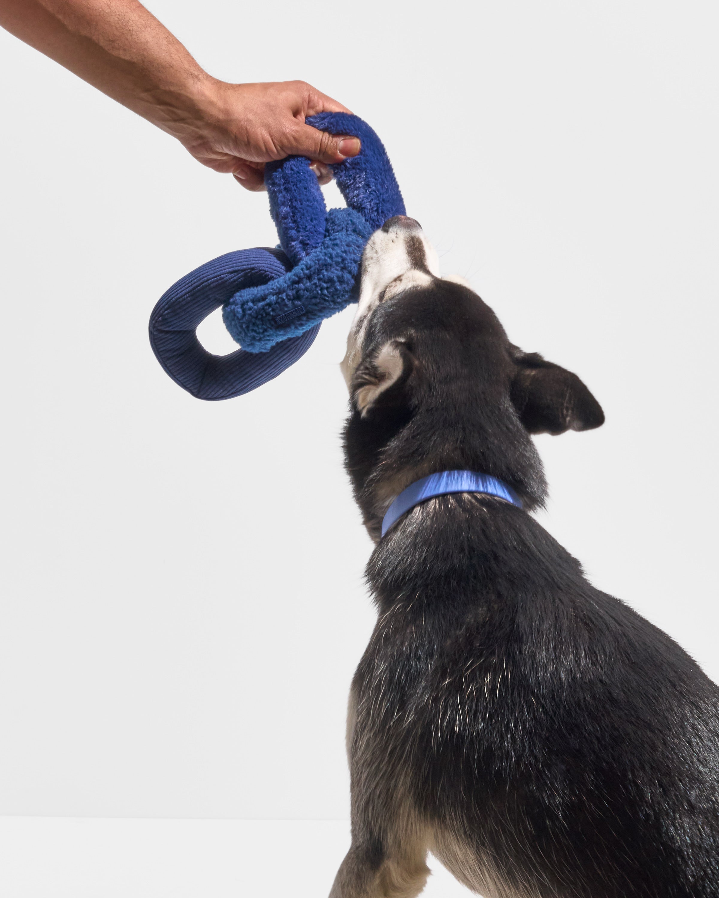 Chew Chain