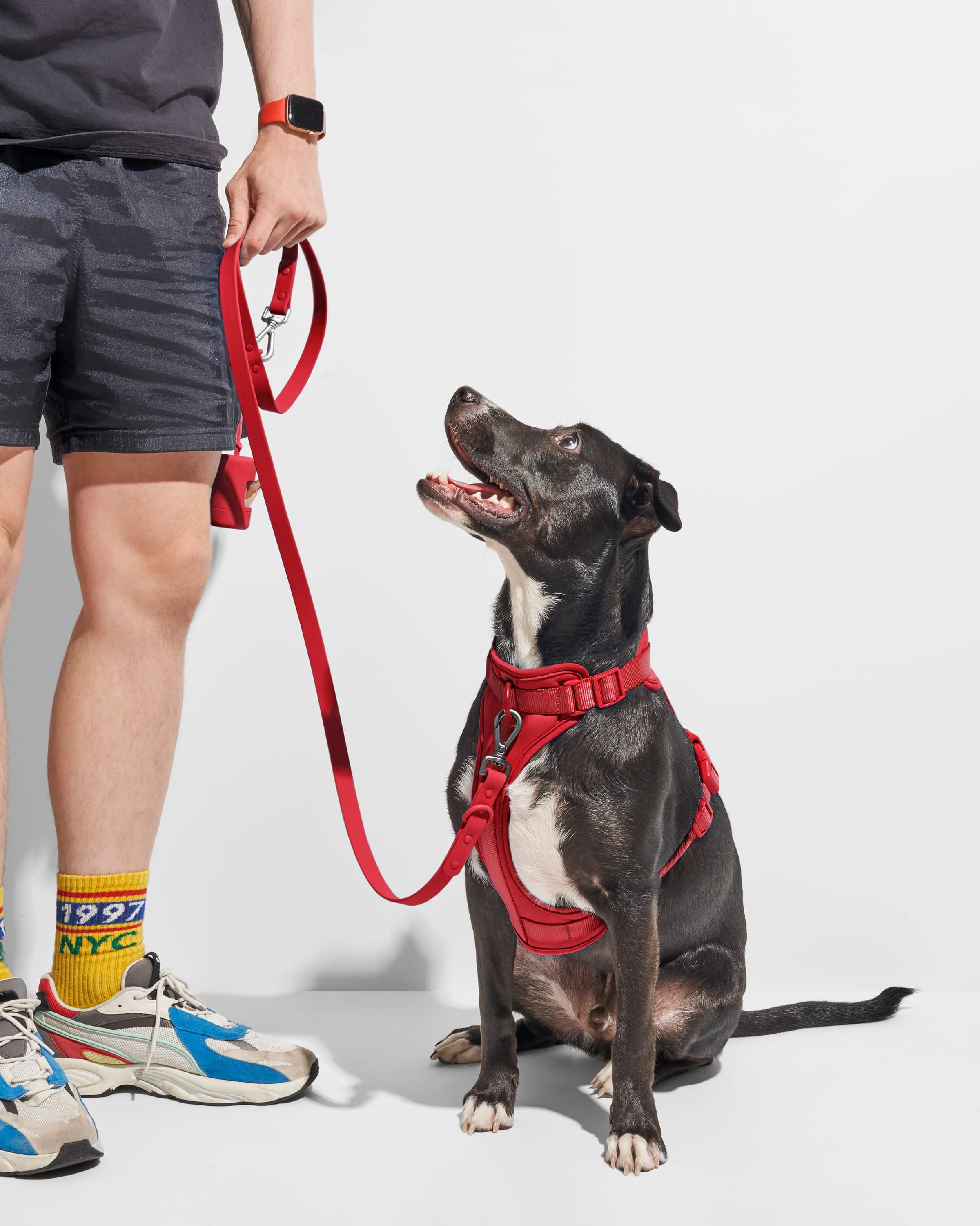 Waterproof Dog Leash
