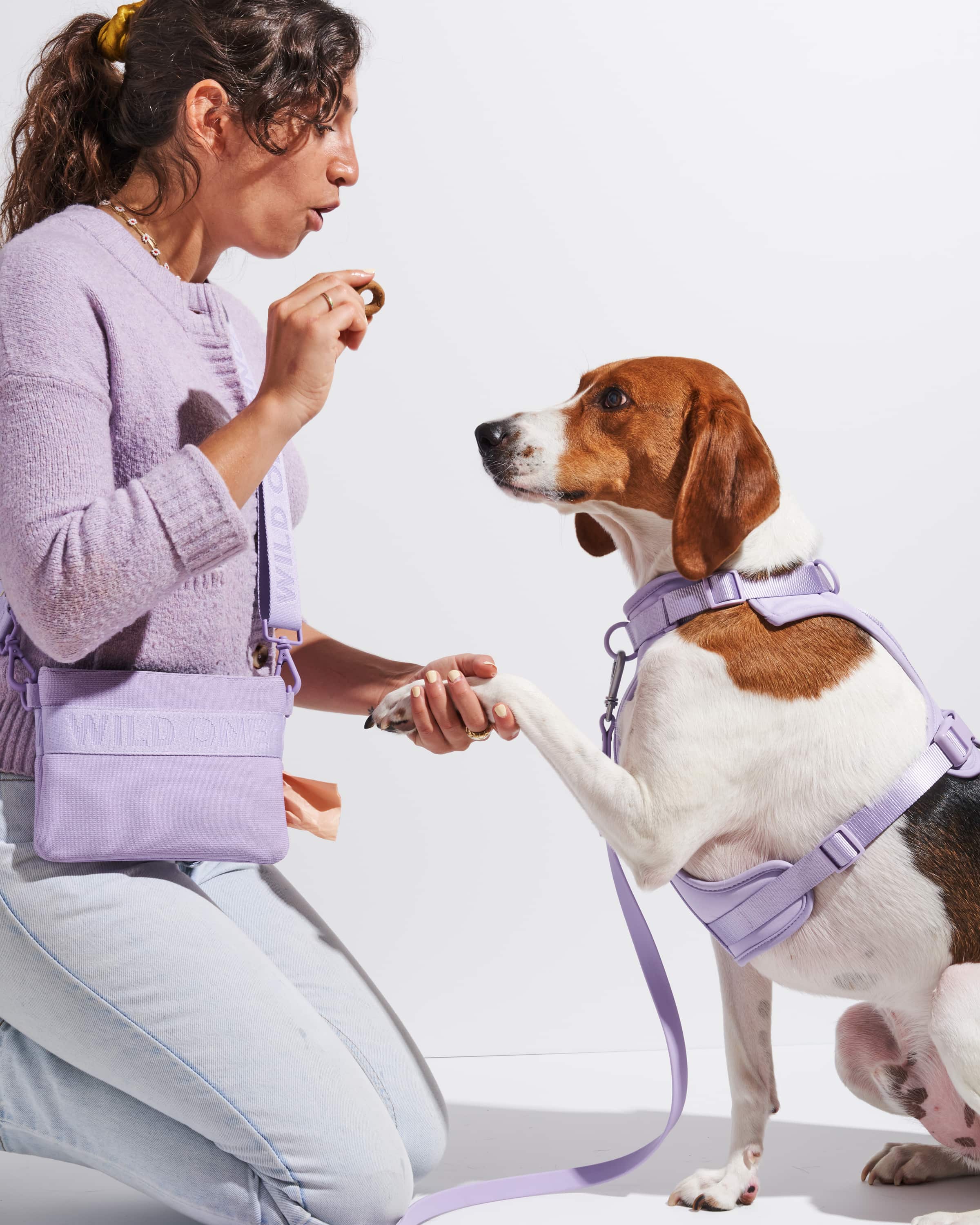 Treat Pouch